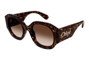 Chloe CH0234S 002 ONE SIZE (53) Havana Férfi Napszemüvegek