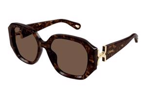 Chloe CH0236S 002 ONE SIZE (56) Havana Férfi Napszemüvegek