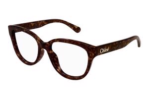 Chloe CH0243O 006 ONE SIZE (53) Havana Férfi Dioptriás szemüvegek