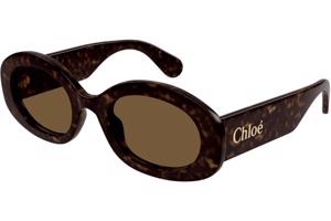 Chloe CH0258S 002 ONE SIZE (53) Havana Férfi Napszemüvegek