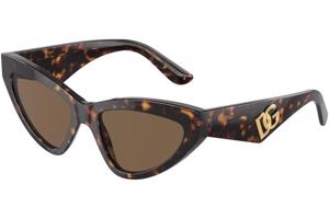 Dolce & Gabbana DG4439 502/73 ONE SIZE (55) Havana Férfi Napszemüvegek