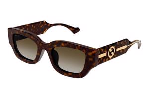 Gucci GG1558SK 002 ONE SIZE (51) Havana Férfi Napszemüvegek