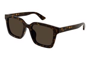 Gucci GG1582SK 002 ONE SIZE (54) Havana Női Napszemüvegek