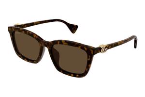 Gucci GG1596SK 003 ONE SIZE (55) Havana Férfi Napszemüvegek