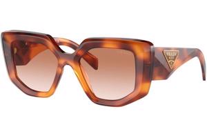 Prada PR14ZS 18R70E ONE SIZE (50) Havana Férfi Napszemüvegek