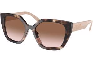 Prada PR24XS 07R0A6 ONE SIZE (52) Havana Férfi Napszemüvegek