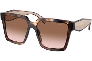 Prada PR24ZS 07R0A6 ONE SIZE (56) Havana Férfi Napszemüvegek