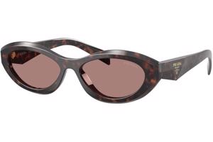 Prada PR26ZS 17N60B ONE SIZE (55) Havana Férfi Napszemüvegek