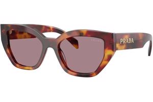 Prada PRA09S 22A20I ONE SIZE (53) Havana Férfi Napszemüvegek