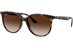 Ray-Ban RB4378 710/13 ONE SIZE (54) Havana Férfi Napszemüvegek