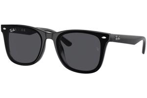 Ray-Ban RB4420 601/87 ONE SIZE (65) Fekete Unisex Napszemüvegek