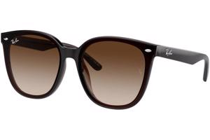 Ray-Ban RB4423D 714/13 ONE SIZE (66) Barna Unisex Napszemüvegek