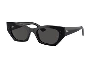 Ray-Ban RB4430 667787 M (49) Fekete Unisex Napszemüvegek