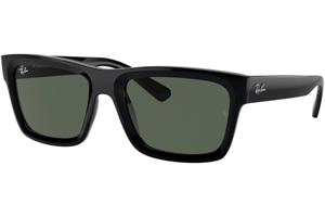 Ray-Ban Warren RB4396 667771 L (57) Fekete Unisex Napszemüvegek