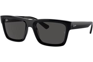 Ray-Ban Warren RB4396 667787 L (57) Fekete Unisex Napszemüvegek