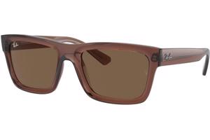 Ray-Ban Warren RB4396 667873 M (54) Barna Unisex Napszemüvegek