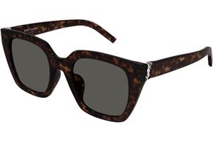 Saint Laurent SLM143 002 ONE SIZE (51) Havana Férfi Napszemüvegek